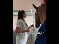 愛馬、病院へ！小さな飼い主を見舞いに来た感動の瞬間.#犬 #動物 #動物世界 #面白い #funny
