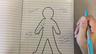 Internal & External Traits