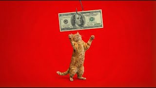 Wall Street Is Coming For Your Pets.
