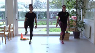 Para evitar caerse...¡Ejercicios de equilibrio!. NIVEL 2 by Grupo de Investigación en Gerontología UDC 68,057 views 4 years ago 11 minutes, 3 seconds