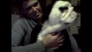 Capture 20120201