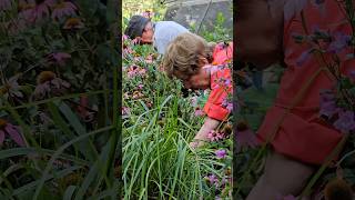 Time to touch some grass, Houston peeps! #horticulture #plants #gardening #science @houstonmuseum