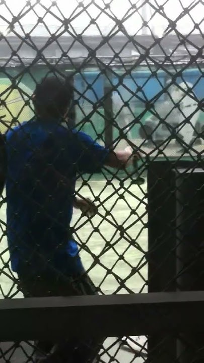 [問題] 公園阿北打得到140km速球會很稀奇嗎？