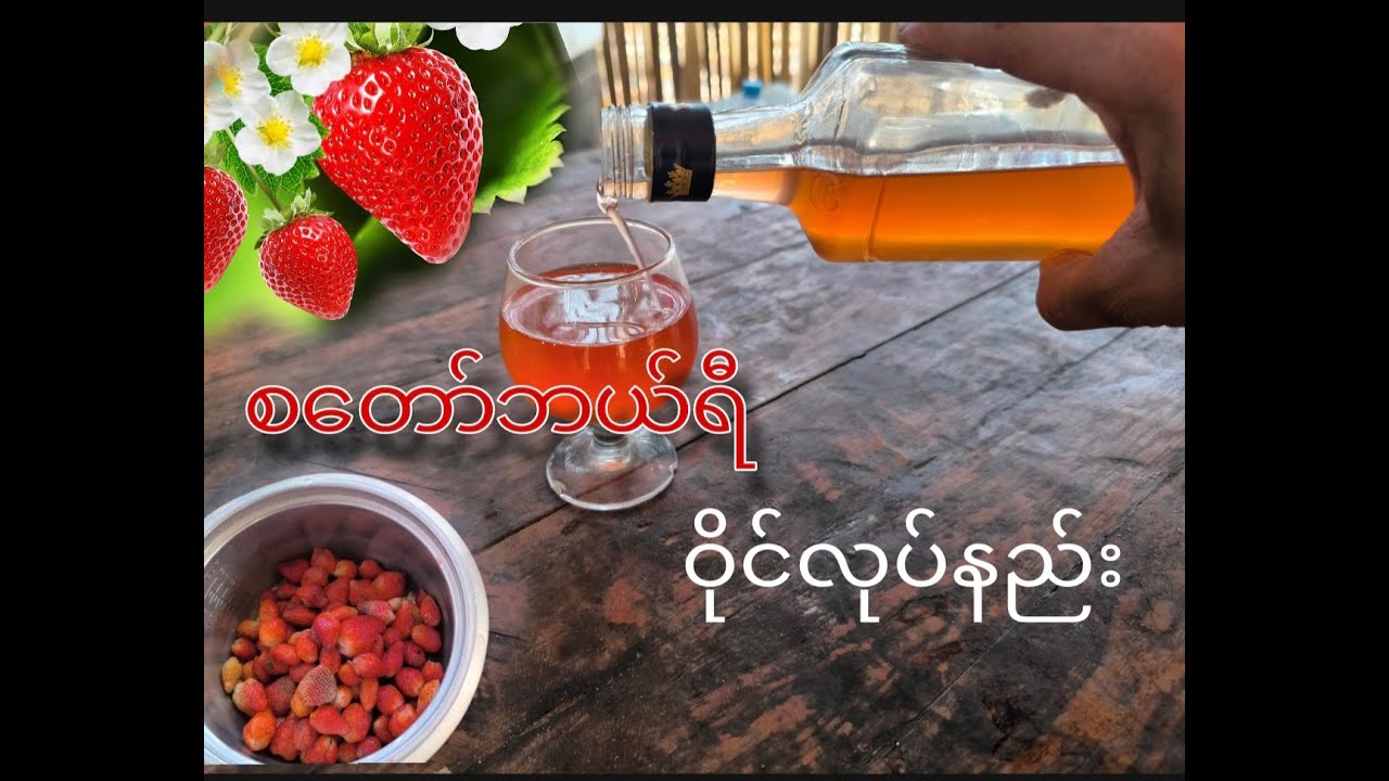 staweery wine/စတော်ဘယ်ရီ ဝိုင်လုပ်နည်း