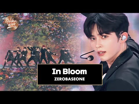 골든 웨이브 ZEROBASEONE 제로베이스원 In Bloom JTBC 240504 방송