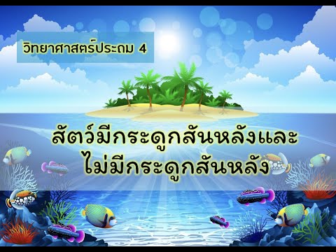 สัตว์มีกระดูกสันหลังและไม่มีกระดูกสันหลัง ป.4