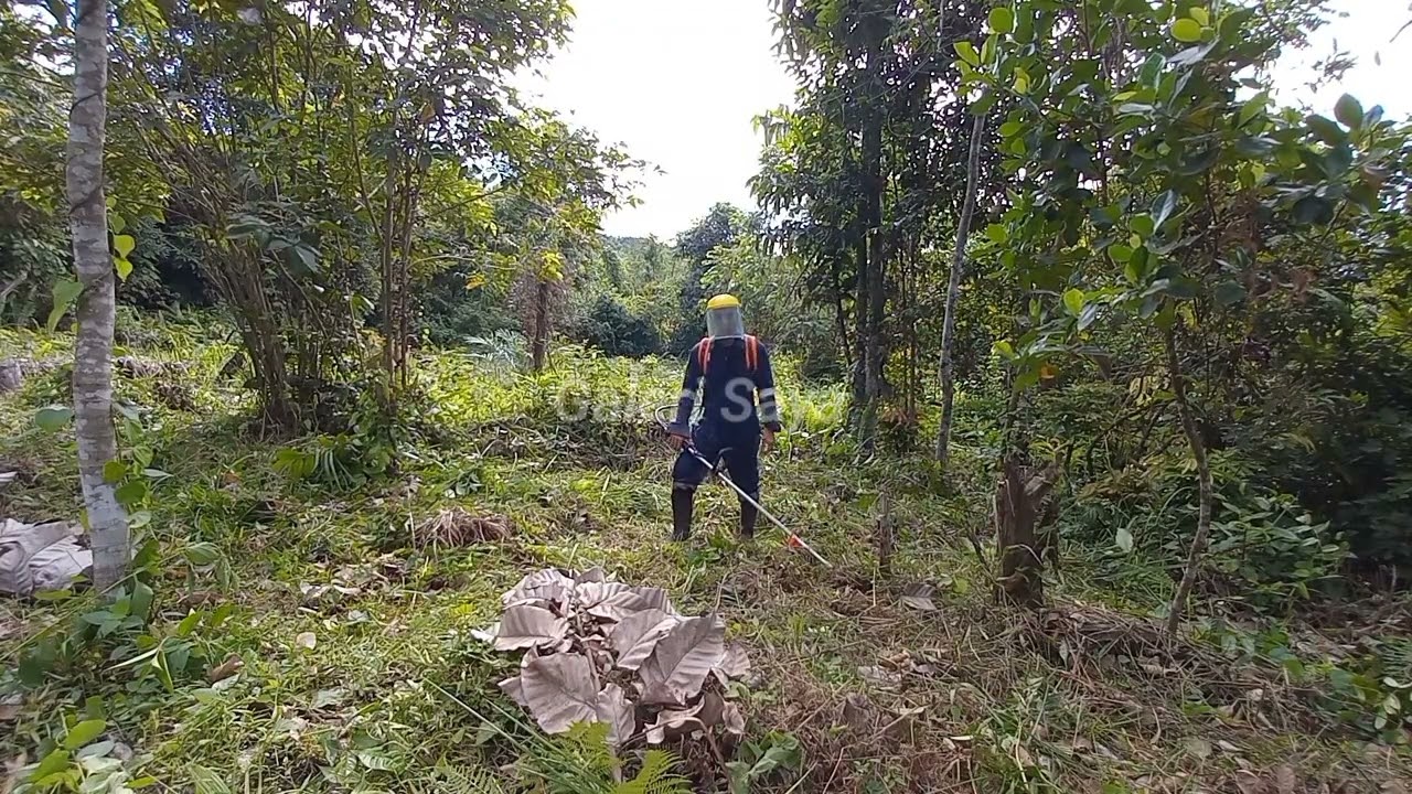 Part 4‼️Potong Rumput Semak Belukar Menggunakan Tanika 338 ER Sampai Pisau Patah Karena Kayu.