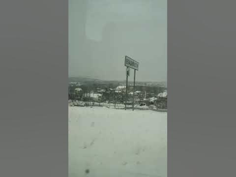 тигер - YouTube