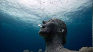 The White Birch - Breathe