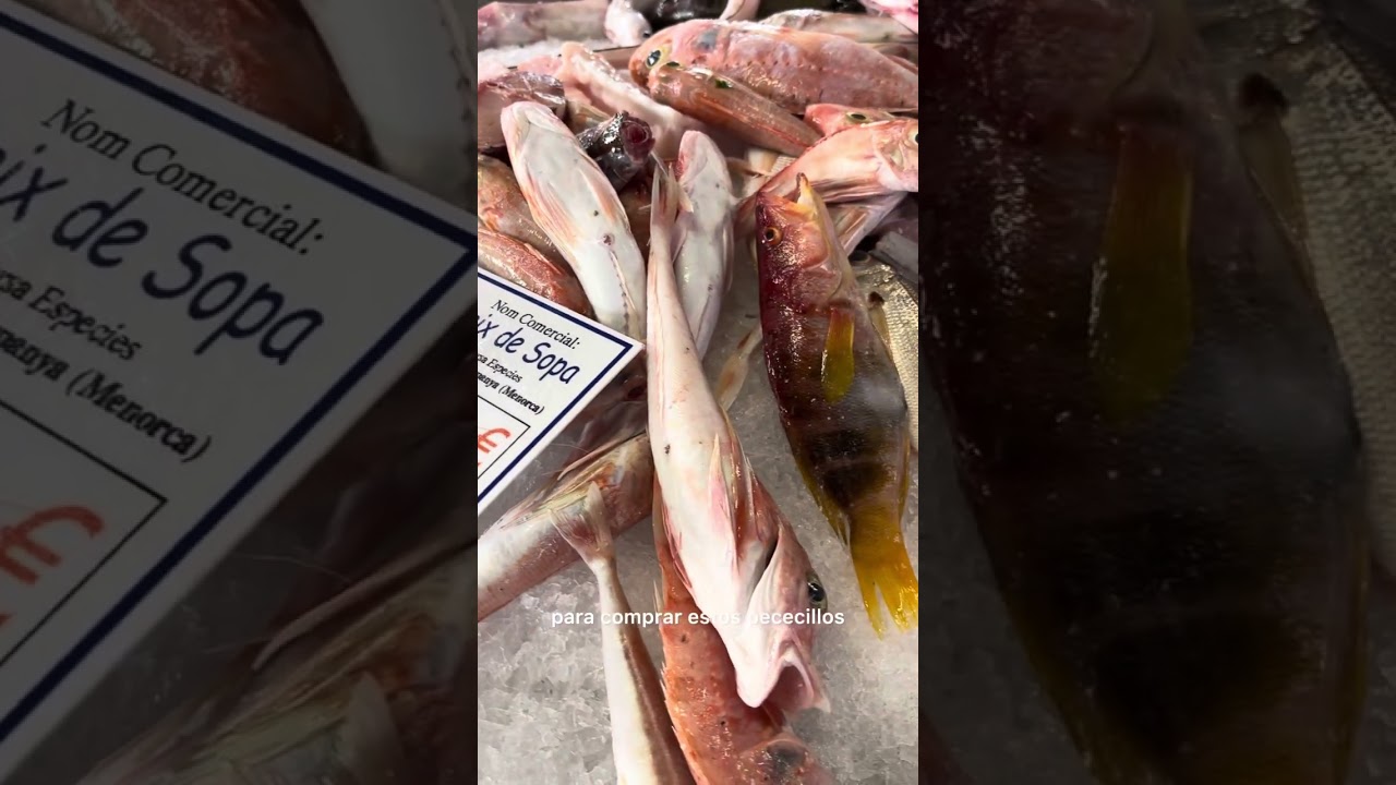 FUMET de Marisco Fácil y Delicioso – El Secreto para Paellas y Fideuás Perfectas