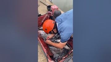 Vlogs 135 Bồi cá - Hồ câu Thái Dương 0933110009 KP Tân Ba, P. Thái Hòa, Tân Uyên, Bình Dương