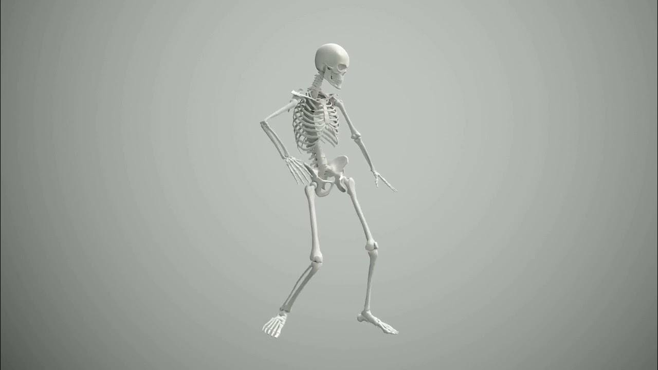 Европа пляшет на костях. Скелет танцует. Танцующие скелеты. Скелет на зеленом фоне. Флекс скелета.