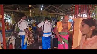 Sri Ganggai Amman Urumi Melam Ft Kattoram At Brookelands