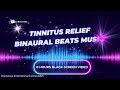 8 Hours Tinnitus Relief Deep Healing Sleep Music | Tinnitus Sound Therapy with Binaural Beats Music