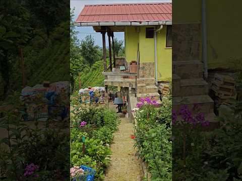 Çiçeklerin Güzel Kokusu Kuşların Cıvıltıların Arasında Huzuru Buluyor İnsan Garden Nature Travel