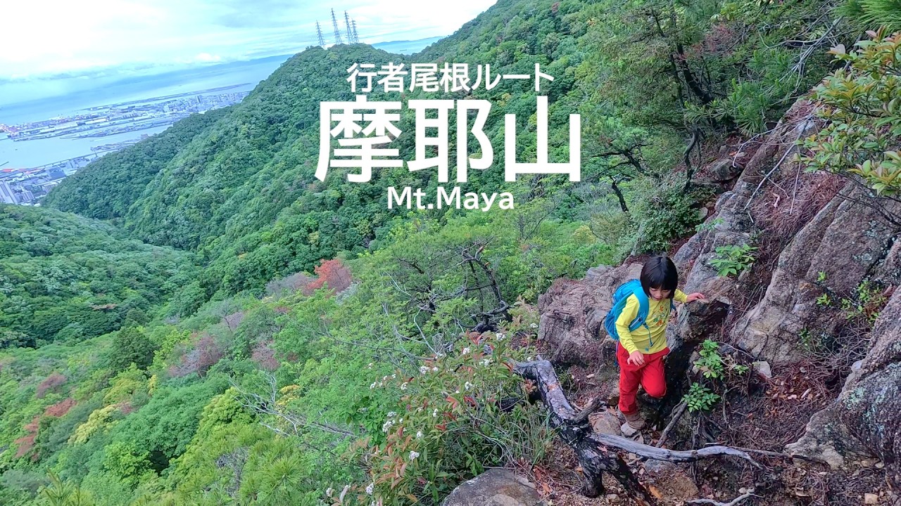 摩耶山 ７歳娘と岩場が続く行者尾根から掬星台まで登る