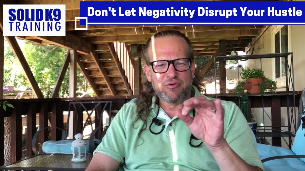 dog trainer in delhi Don't Let Negativity Disrupt Your Hustle - Solid K9 Training (2019)