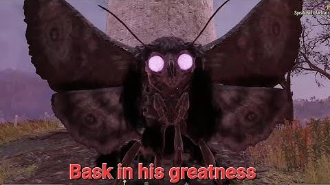 Communing with the Wise Mothman #fallout76 #mothman #gaming