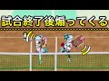 試合終了後にネット前に来て煽って来る人々【白猫テニス】