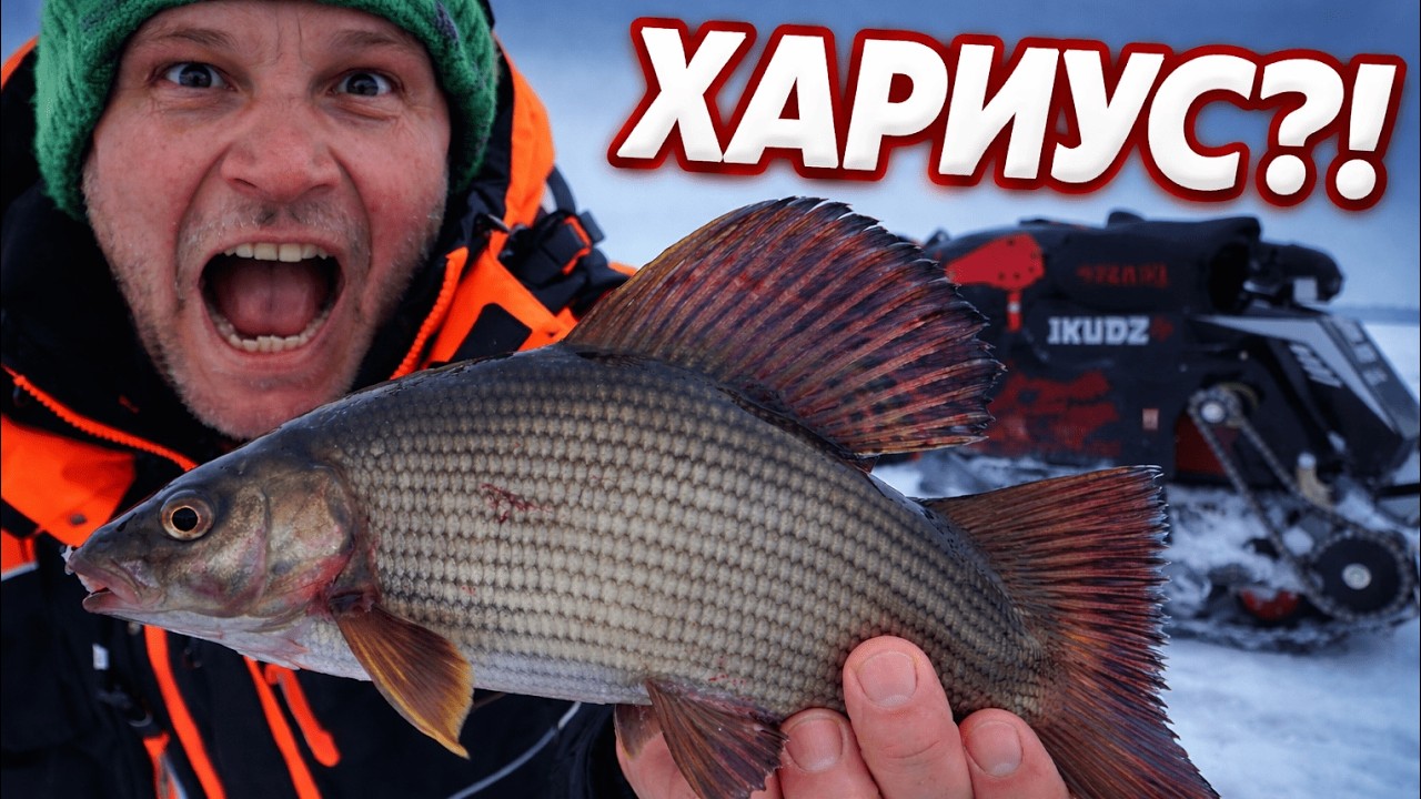 ХАРИУС НА ОЗЕРЕ! ЕХАЛИ ЗА ОКУНЕМ НА МОТОБУКСИРОВЩИКЕ А НАШЛИ ХАРИУСА! РЫБАЛКА В КАРЕЛИИ НА IKUDZO