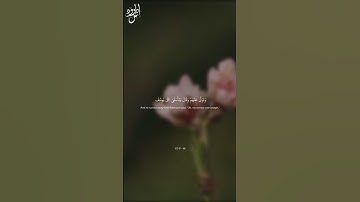 Surah Yusuf | Ayah 81-86 | سورة يوسف