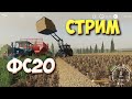 FS20. Пробный стрим.