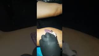 Moth tattoo time-lapse