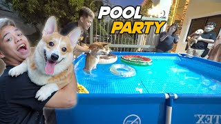 DOG POOL PARTY SA BG HOUSE!! | Happy Birthday