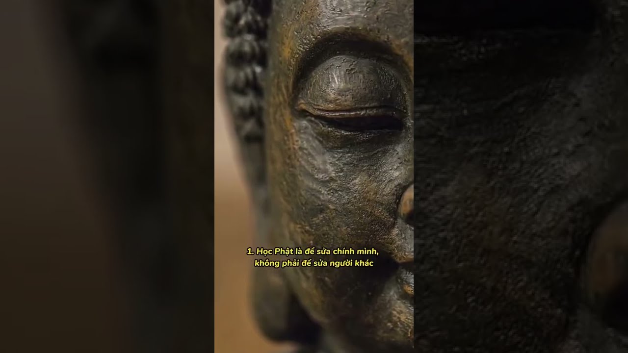 ⁣10 Điều Phật Nhắc Nhở Bản Thân