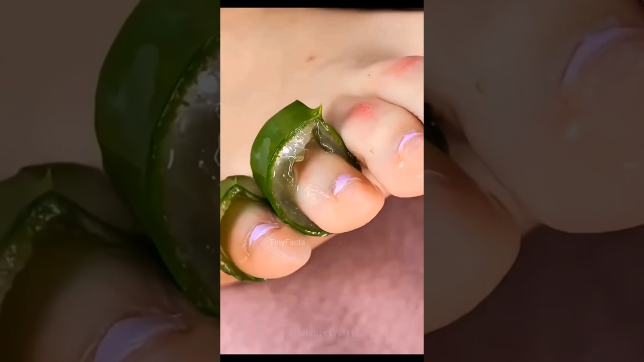 Top secret Amazing kitchen Hacks 🍵 😱| Mind Blowing Hacks In Hindi | Random Facts 