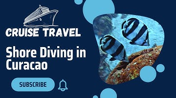 Shore Diving in Curacao - The Dive Bus