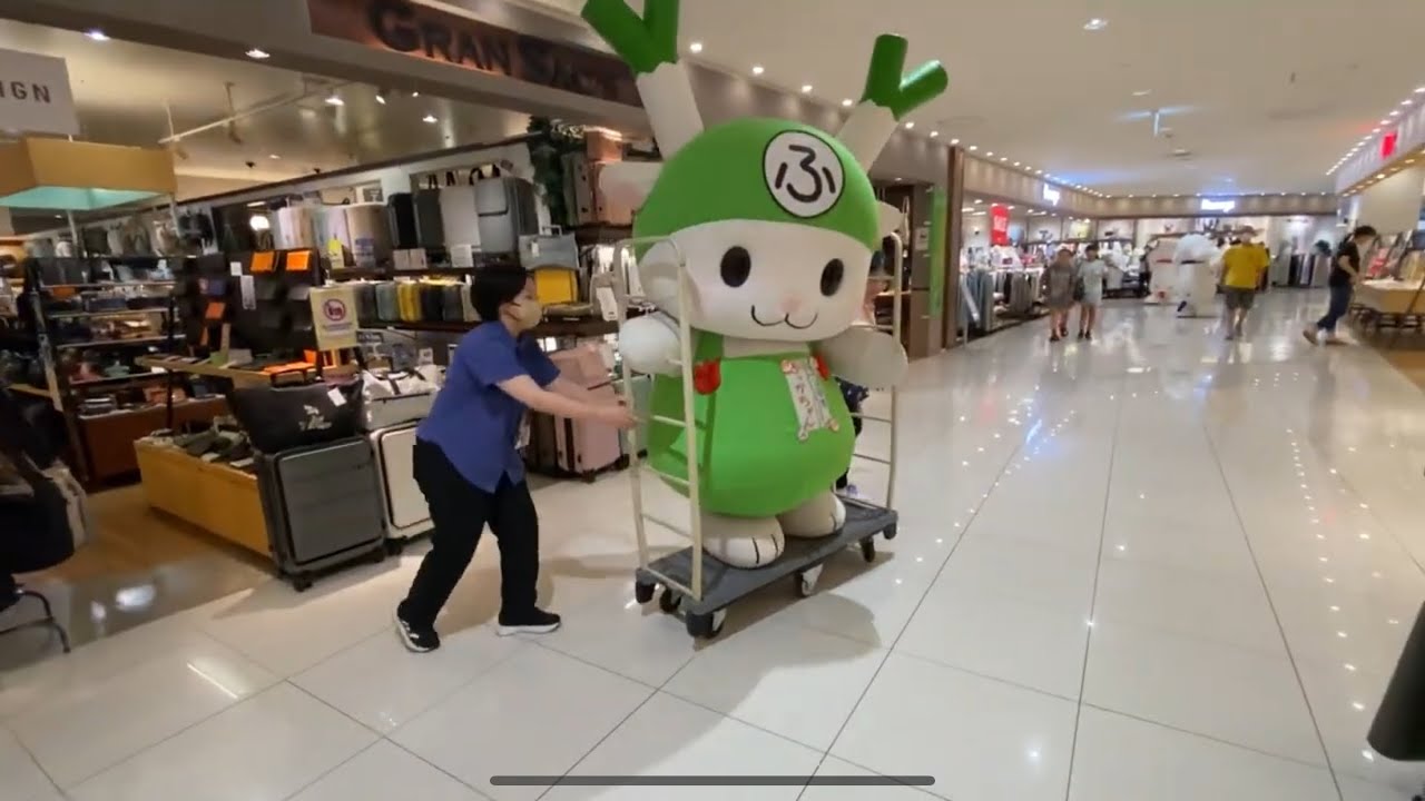 ふっかちゃん台車で退場😊