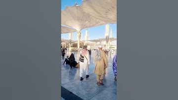 People's Relaxing in Masjid Nabawi SURAH AL IKHLAS #egzonibrahimi #سورة_الإخلاص #ikhlas #masjidnabaw