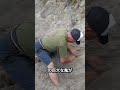 砂に埋まった巨大カメ…救出劇に感動🥺❤️