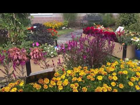 2026 AAS Challenge Goodness of Gardening Oneida Garden Tour 🌱