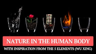 Nature Reflected in the Human Body (The 5 Elements / Wu Xing Explained) Wealth