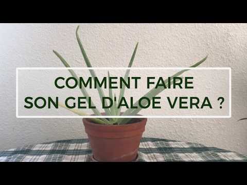 Vídeo: Arbre D’àloe