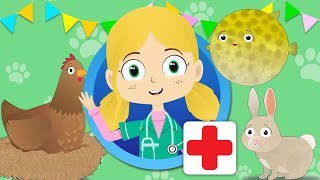 Henrietta Hen Visits Dr Poppy's Pet Rescue | Animals For Kids