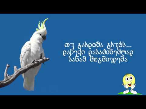 კაკადუს რჩევები