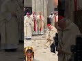 Emotional Moment as Cardinal Krajewski kneels and asks the congregated faithful for prayer