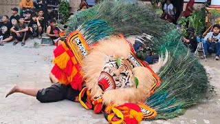 HOREG‼️ AKSI 5 DADAK MERAK RAKSASA REOG PONOROGO HEBOHKAN PONPES HUDATUL MUNA JENES