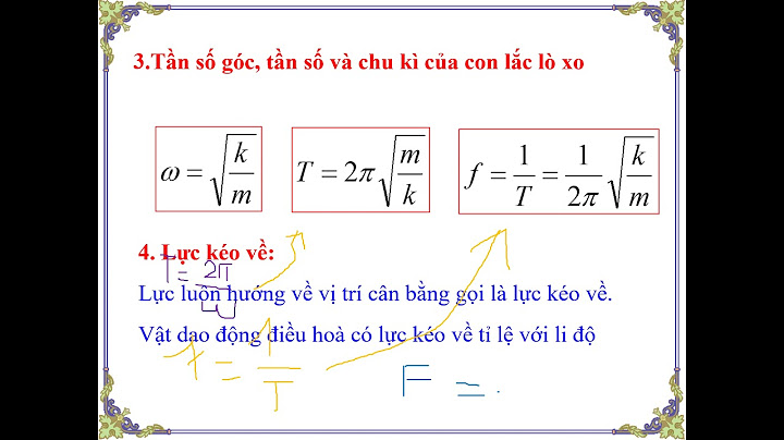 Con lắc newton là gì
