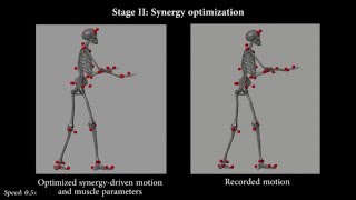 A synergy-based control solution for  overactuated characters