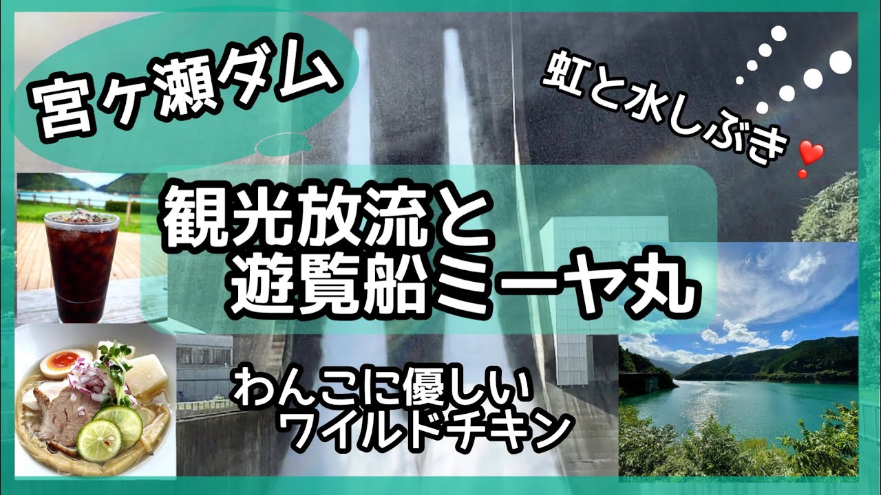 【宮ヶ瀬ダム】観光放流と遊覧船ミーヤ丸🎶