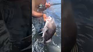 Putting In Work On The Flats With The Shimano Tranx