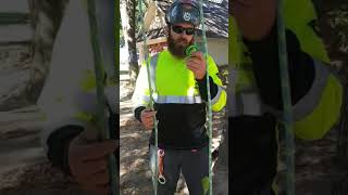 SRT/SRS Canopy Anchor: Bunny Ring Cinch Set up