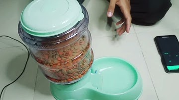 Final Year Project IOT PET FEEDER