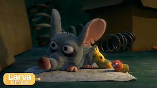 Crisis | Animation Compilation | Larva Tuba | Official