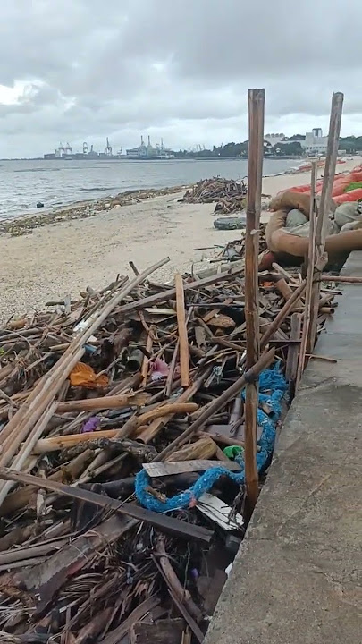 GRABING KAHOY PWIDI NA ITO GAWING ULING. #manilabaydolomitebeach #savemanilabay