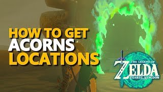 Acorns Locations Zelda Tears of the Kingdom screenshot 5